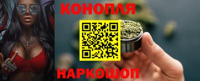 дживик Кингисепп