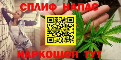 дживик Кингисепп
