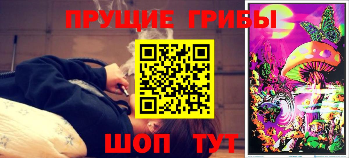 Псилоцибиновые грибы прущие грибы  Вход с VPN  Котовск  Псилоцибиновые грибы Psilocybine cubensis 
